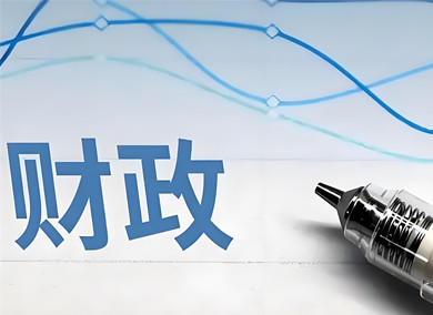 2025年財政政策執行情況報告 政采政策效能顯著提升